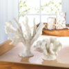 White Coral Decor