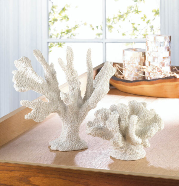 White Coral Decor