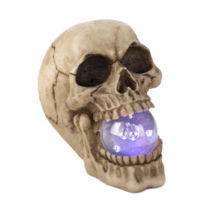 Skull with Lighted Orb